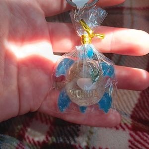 Florida turtle key chain